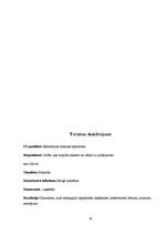 Referāts 'Angļu valodas izmantošana mūsdienu profesijās', 19.