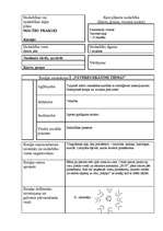 Konspekts 'Rotaļa "Vāveres krājumi ziemai" 4.klasei', 1.