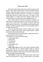 Diplomdarbs 'SIA "Salvis" finansiālās darbības analīze un novērtējums', 10.