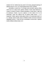 Diplomdarbs 'SIA "Salvis" finansiālās darbības analīze un novērtējums', 13.