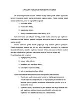 Diplomdarbs 'SIA "Salvis" finansiālās darbības analīze un novērtējums', 17.