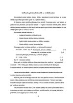 Diplomdarbs 'SIA "Salvis" finansiālās darbības analīze un novērtējums', 19.