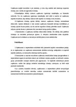 Diplomdarbs 'SIA "Salvis" finansiālās darbības analīze un novērtējums', 58.