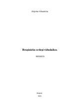 Referāts 'Bruņinieku ordeņi viduslaikos', 1.