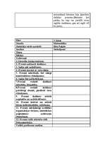 Prakses atskaite 'Pedagoģiskā prakse sākumskolā', 4.