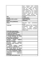 Prakses atskaite 'Pedagoģiskā prakse sākumskolā', 6.