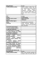 Prakses atskaite 'Pedagoģiskā prakse sākumskolā', 7.