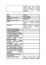 Prakses atskaite 'Pedagoģiskā prakse sākumskolā', 12.