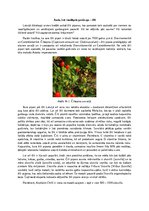 Konspekts 'Asais, bet veselīgais garšaugs - čili', 1.