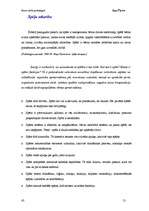 Referāts 'Datoratkarība - cēloņi un sekas', 13.