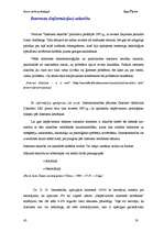 Referāts 'Datoratkarība - cēloņi un sekas', 19.