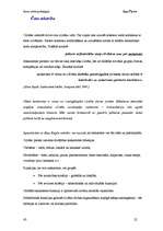 Referāts 'Datoratkarība - cēloņi un sekas', 22.