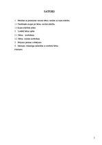 Prakses atskaite 'Bērnu valodas novērošana', 2.