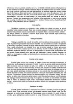 Referāts 'Acteku arhitektūra', 5.