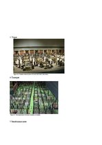 Referāts 'Acteku arhitektūra', 11.