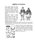 Konspekts 'Latgaļi senatnē', 3.