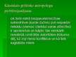 Prezentācija 'Varas fenomens kā politiskās antropoloģijas centrālā problēma', 6.