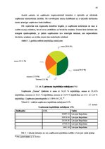 Diplomdarbs 'SIA "X" saimnieciskās darbības analīze un tās pilnveidošana', 46.