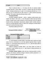 Diplomdarbs 'SIA "X" saimnieciskās darbības analīze un tās pilnveidošana', 62.