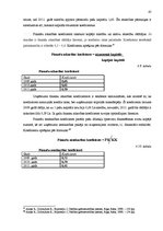 Diplomdarbs 'SIA "X" saimnieciskās darbības analīze un tās pilnveidošana', 65.