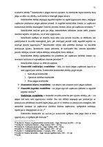 Diplomdarbs 'SIA "X" saimnieciskās darbības analīze un tās pilnveidošana', 71.