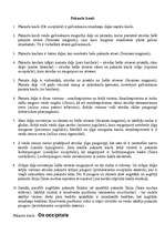 Konspekts 'Cilvēka skelets', 5.