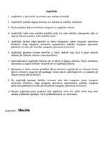 Konspekts 'Cilvēka skelets', 9.