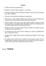 Konspekts 'Cilvēka skelets', 11.