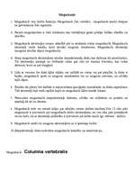 Konspekts 'Cilvēka skelets', 14.