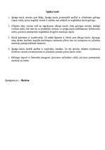 Konspekts 'Cilvēka skelets', 20.