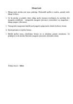 Konspekts 'Cilvēka skelets', 21.