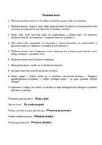 Konspekts 'Cilvēka skelets', 27.