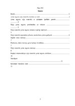 Referāts 'Ruļļu materiālu jumta segumu remonts un nomaiņa', 2.