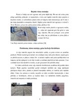 Referāts 'Ruļļu materiālu jumta segumu remonts un nomaiņa', 8.