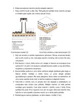 Referāts 'Ruļļu materiālu jumta segumu remonts un nomaiņa', 12.