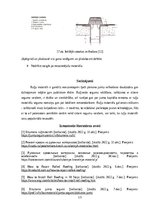 Referāts 'Ruļļu materiālu jumta segumu remonts un nomaiņa', 13.