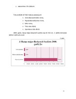 Prakses atskaite 'Profesionālā prakse starpkultūru attiecību jomā', 11.