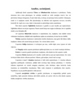 Konspekts 'Mana dienas ēdienkarte', 1.