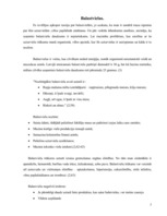 Konspekts 'Mana dienas ēdienkarte', 2.