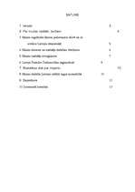 Referāts 'Muitas nodokļa ietekme uz tautsaimniecību', 2.