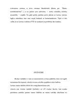 Referāts 'Muitas nodokļa ietekme uz tautsaimniecību', 13.