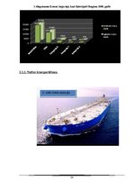 Referāts 'Kuģu satiksmes radītais piesārņojums Baltijas jūrā', 24.