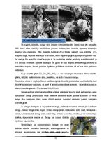 Referāts 'Kuģu satiksmes radītais piesārņojums Baltijas jūrā', 31.