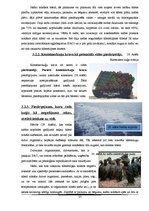 Referāts 'Kuģu satiksmes radītais piesārņojums Baltijas jūrā', 37.