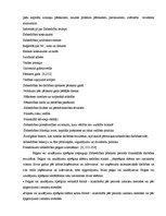 Diplomdarbs 'Sabiedrības ar ierobežotu atbildību "X" saimnieciski finansiālās darbības analīz', 7.