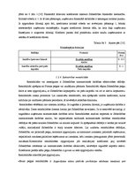 Diplomdarbs 'Sabiedrības ar ierobežotu atbildību "X" saimnieciski finansiālās darbības analīz', 18.