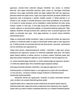 Diplomdarbs 'Sabiedrības ar ierobežotu atbildību "X" saimnieciski finansiālās darbības analīz', 19.