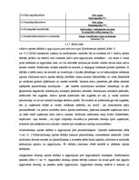 Diplomdarbs 'Sabiedrības ar ierobežotu atbildību "X" saimnieciski finansiālās darbības analīz', 21.