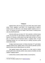 Referāts 'Transporta ietekme uz vidi Beļģijā: izmaksas un ekonomiskie efekti', 19.