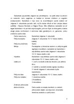 Referāts 'Basketbols Jelgavas 4.vidusskolā', 6.